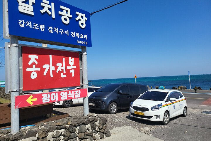 Private Taxi Transfer from Jeju City to Jeju Airport(one way ) - Photo 1 of 6
